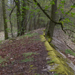 Alte_Opel_Rennstrecke-20130421-25