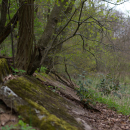 Alte_Opel_Rennstrecke-20130421-24