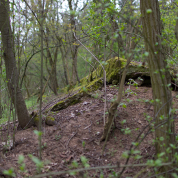 Alte_Opel_Rennstrecke-20130421-17