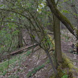 Alte_Opel_Rennstrecke-20130421-04