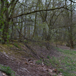 Alte_Opel_Rennstrecke-20130421-13