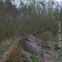 Alte_Opel_Rennstrecke-20130421-06