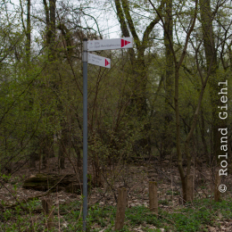 Alte_Opel_Rennstrecke-20130421-01