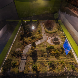 Andernach Geysir Oktober 2014