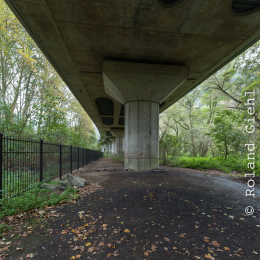 Andernach_Geysir_20141025_014