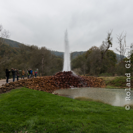 Andernach_Geysir_20141025_015
