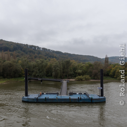 Andernach_Geysir_20141025_021