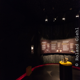 Andernach_Geysir_20141025_028