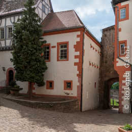 Ausflug_Odenwald_20190526_018