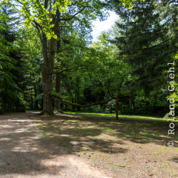 Ausflug_Odenwald_20190526_013