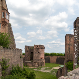 Ausflug_Odenwald_20190526_015