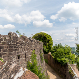 Ausflug_Odenwald_20190526_014