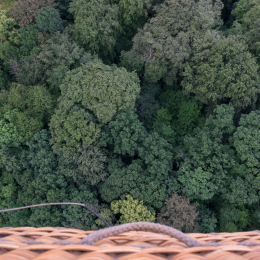 Bonn-Ballon-Festival_20160611_100