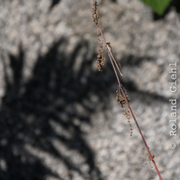 Felsenmeer_Lautertal_20171015_017