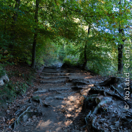 Felsenmeer Lautertal Oktober 2017
