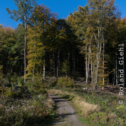 Felsenmeer_Lautertal_20171015_020