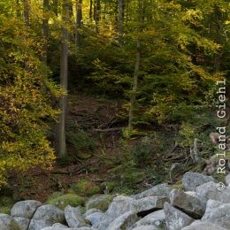 Felsenmeer_Lautertal_20171015_003