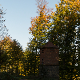 Felsenmeer_Lautertal_20171015_027