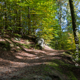 Felsenmeer_Lautertal_20171015_006