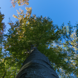 Felsenmeer_Lautertal_20171015_025