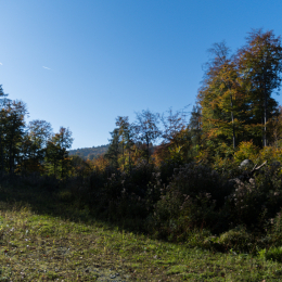 Felsenmeer_Lautertal_20171015_022