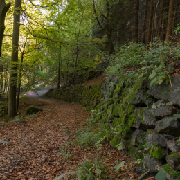 Felsenmeer_Lautertal_20171015_014