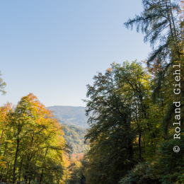 Felsenmeer_Lautertal_20171015_011