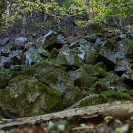 Felsenmeer_Lautertal_20171015_015