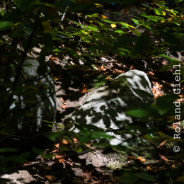 Felsenmeer_Lautertal_20171015_005