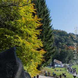 Felsenmeer_Lautertal_20171015_004