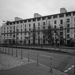 Frankfurt_Mainufer_001_20211128