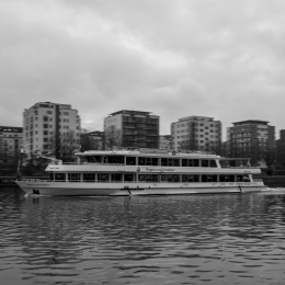 Frankfurt_Mainufer_013_20211128