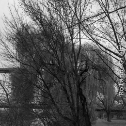 Frankfurt_Mainufer_009_20211128