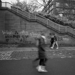 Frankfurt_Mainufer_004_20211128