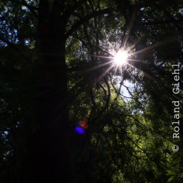 Frankfurt-Spaziergang-mit-bot-Garten_20160925_016