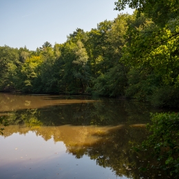 Goetheturm-Maunzenweiher_008_20210905