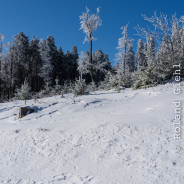 Feldberg_Taunus_20141228_005