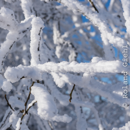 Feldberg_Taunus_20141228_021