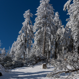 Feldberg_Taunus_20141228_008