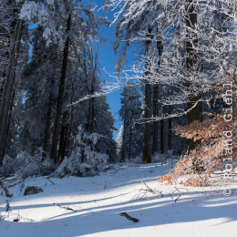Feldberg_Taunus_20141228_026