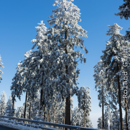 Feldberg_Taunus_20141228_002