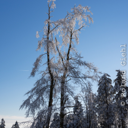 Feldberg_Taunus_20141228_024