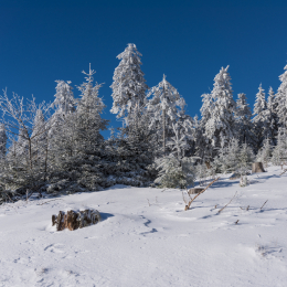 Feldberg_Taunus_20141228_006