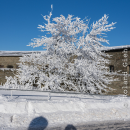 Feldberg_Taunus_20141228_012