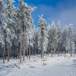Feldberg_Winter_20160118_014