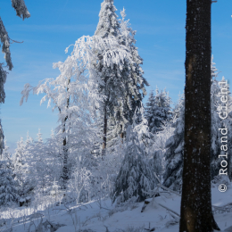 Feldberg_Winter_20160118_027
