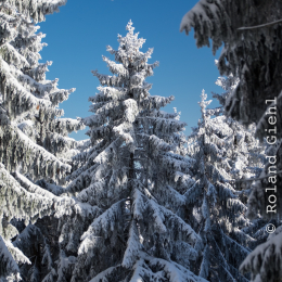 Feldberg_Winter_20160118_049