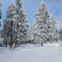 Feldberg_Winter_20160118_013