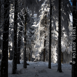 Feldberg_Winter_20160118_031