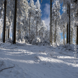 Feldberg_Winter_20160118_022